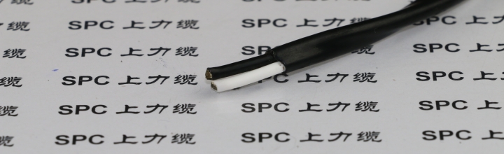 AFS-250鐵氟龍雙絞電線