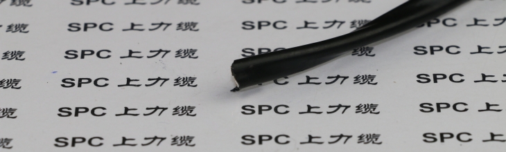 AFTS-250鐵氟龍推擠雙絞線